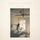 Baek Ye Rin Every letter I sent you Album 2CD