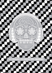BIGBANG Big Show 2011 Concert DVD Photobook