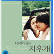 Experience the emotional journey of 'A Moment to Remember' on Blu-ray, a poignant Korean film about love, memory, and unforgettable moments.