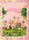Apink Pink Island 2nd Concert DVD set – Includes 2 DVDs and a photobook packed with behind-the-scenes content and concert footage.