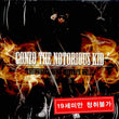 Used DOK2 Thunderground Mixtape Vol. 2