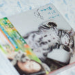 Used Gu Gu The Cat DVD 2 Disc Photobook Korea Version