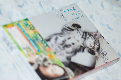 Used Gu Gu The Cat DVD 2 Disc Photobook Korea Version
