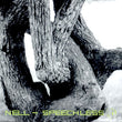 Nell's 'Speechless,' is an indie album featuring a subtle and atmospheric design, reflecting the band's emotional and introspective musical style.