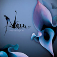 Album cover of Nell's 'Walk Through Me Repackage,' featuring atmospheric artwork with moody tones, highlighting the band's signature emotional and introspective style.