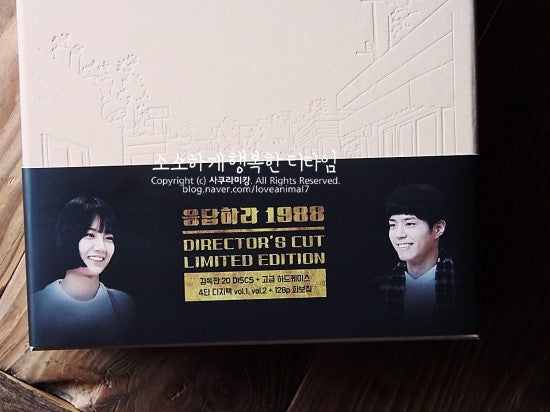 Reply 1988 DVD 16-Disc Director's Cut – Great Condition